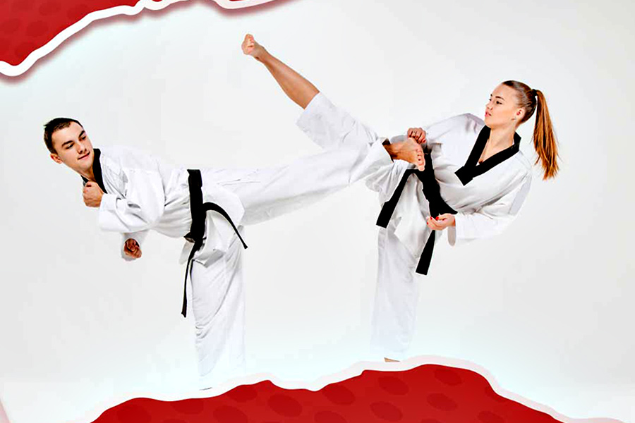 Điểm giống giữa Vovinam và Taekwondo